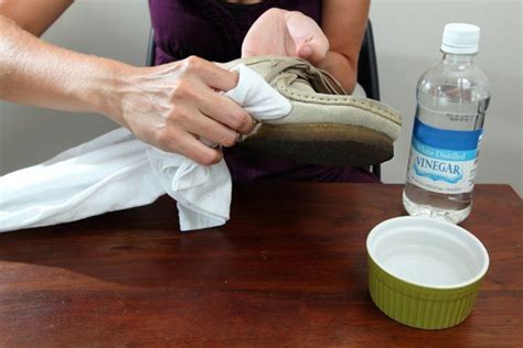 how to clean cat pee off fake suede shoes|cat urine from shoes.